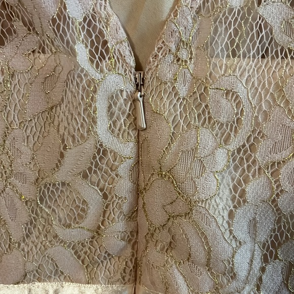 Jenny Yoo Collection Sleeveless Light Pink Lace Mini Bridesmaid Dress 0 - Picture 11 of 16